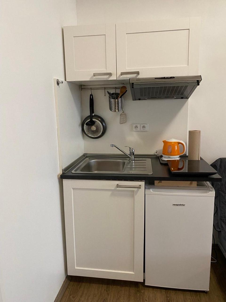 Apartament Zizkov Cosy *
